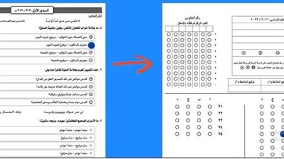 الثانوية العامة 2024..شرح تفصيلي لتخطي الطالب صعوبات الامتحان