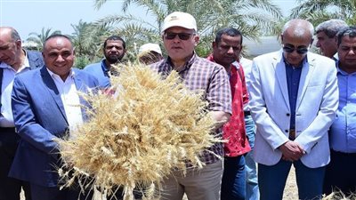 أخبار الجامعات | رئيس جامعة سوهاج يشهد أفضل موسم حصاد لتقاوي القمح لخدمة مزارعي المحافظة