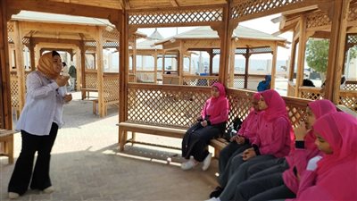 الكشف على (927) مواطن خلال اليوم الثاني لفعاليات قافلة جامعة المنصورة المتكاملة