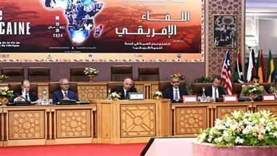 اللجنة الوطنية المصرية للتربية والعلوم تؤكد.. مصر تشارك في أول قمة للمؤسسة الأفريقية للتعلم مدى الحياة