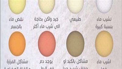 أعرف مرضك من لون بولك وهذه الالوان خطر تستدعى الذهاب للطبيب فورا 