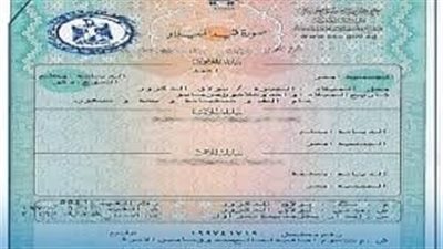 ازاي تستخرج شهادة الميلاد 2024 من منزلك؟.. اعرف الخطوات