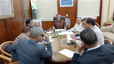 جامعة الأقصر تترأس جلسة الاجتماع الدوري للجنة المكتبات