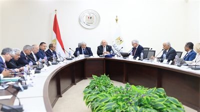 وزير التعليم العالي يستقبل الأمين العام لاتحاد الجامعات العربية لتدريب القيادات الجامعية