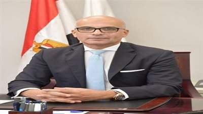 رئيس جامعة عين شمس يعلن تكليف الدكتورة علا صادق لإدارة مركز تنمية المهارات المهنية والتوظيف