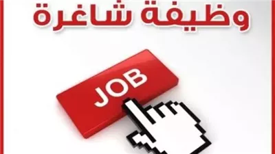 ماهي شروط وظائف وزارة النقل 2025؟.. مع التفاصيل 