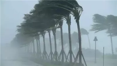  حالة الطقس اليوم الجمعة 20 ديسمبر 2024.. أمطار غزيرة 