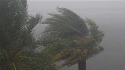 بيان هام بشأن حالة الطقس غدًا السبت 15 فبراير 2025