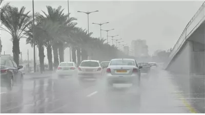 شبورة وأمطار.. الأرصاد تصدر بيانا عاجلا بشأن حالة الطقس غدا الجمعة 7 -3 -2025