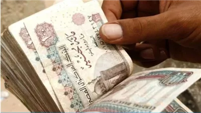 عاجل.. صرف 2000 جنيه مكافأة مالية لـ أعضاء هيئة التدريس تقديرًا لجهودهم.. ننشر التفاصيل