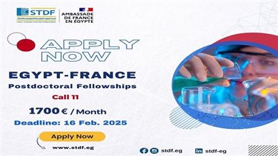 التعليم العالي تكشف عن منحة أبحاث ما بعد الدكتوراه بالتعاون بين مصر وفرنسا
