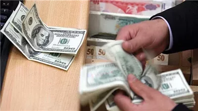 سعر الدولار اليوم الجمعة 31 يناير 2025 فى البنوك.. الأخضر يستقر 