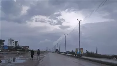 حالة الطقس غدًا الأحد في محافظات مصر.. الأرصاد توضح 