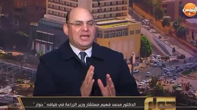 وزارة الزراعة: زراعة القمح حساس لمرض الصدأ الأصفر ممنوع في هذه المناطق