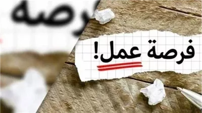 وظائف سائقين ومندوب توصيل في محافظات مصر.. تعرف عليهم 