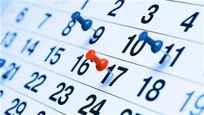 تفاصيل أخذ إجازة سنوية في قانون العمل الجديد.. 8 أنواع من العطلات 