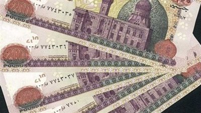 كيفية الاستعلام عن منحة العمالة غير المنتظمة 2025.. الرابط الآن