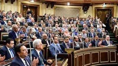 مجلس النواب وافق على زيادة الحافز الإضافى للموظفين لـ700 جنيه