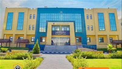 جامعة سفنكس في قائمة الجامعات المؤثرة عالميًا في تصنيف التايمز لعام 2025