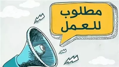  وظائف وزارة العمل.. ما هي الشروط المطلوب للتقديم؟