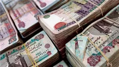 معاش شهري لربات البيوت في مصر 2025.. تعرف على المبلغ المستحق