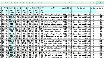 ظهرت الآن نتيجة الشهادة الاعدادية بالمنوفية الدور الأول بصيغة إكسل