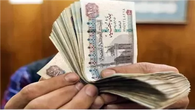 صرف معاشات شهر أغسطس 2025.. خلال الأيام المقبلة 
