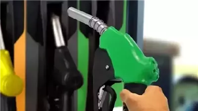 قبل تطبيق الزيادة.. أسعار الوقود في مصر اليوم 29-7-2025