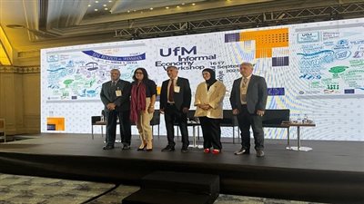 رئيس الجامعة المصرية اليابانية يشارك في ورشة عمل دولية حول الاقتصاد غير الرسمي بإسطنبول