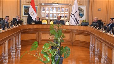 مجلس جامعة حلوان يهنئ نخبة من أساتذته لتوليهم مناصب مرموقة محليًا ودوليًا