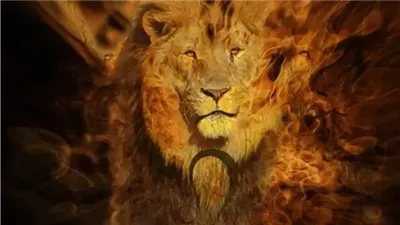 توقعات برج الأسد حظك اليوم الخميس 4 ديسمبر 2025 رسائل كونية تدعمك في العمل والحب