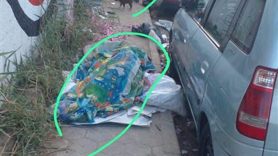 فوضى ونباشو قمامة أمام مدرسة طه حسين.. التلاميذ فى خطر