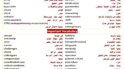 أبرز وأهم الكلمات في منهج اللغة الإنجليزية لـ الثانوية العامة 2026 في 12 ورقة