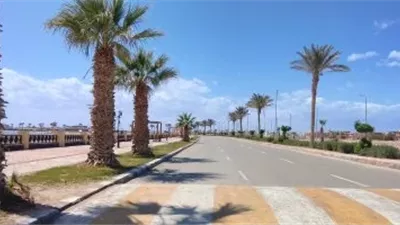 حالة الطقس اليوم في مصر.. رياح مثيرة للأتربة وأمطار محتملة