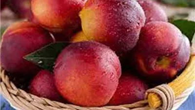 ارتفاع ملحوظ في أسعار الفاكهة اليوم الإثنين 30 مارس 2026