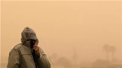 موعد استقرار الطقس في مصر.. تحسن مرتقب بعد العواصف الترابية