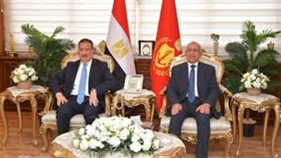 شراكة علمية قوية.. جامعة بورسعيد تحتفل بتخريج دبلوم جاهار