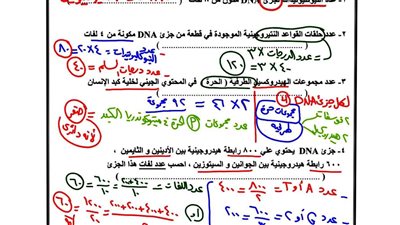 في 6 ورقات فقط.. أبرز مسائل DNA للثانوية العامة تضمن التفوق عبر موقع السبورة