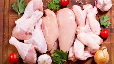 بورصة الدواجن اليوم.. ارتفاع طفيف في الأبيض واستقرار ملحوظ بمعدلات الإنتاج