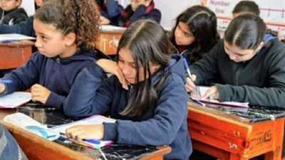 صفوف النقل بالجيزة    