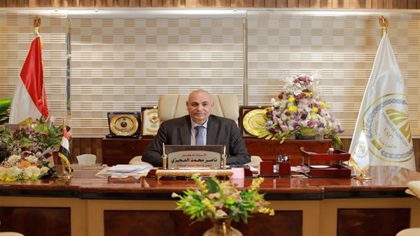 الدكتور ناصر عبد الباري رئيس جامعة السادات    