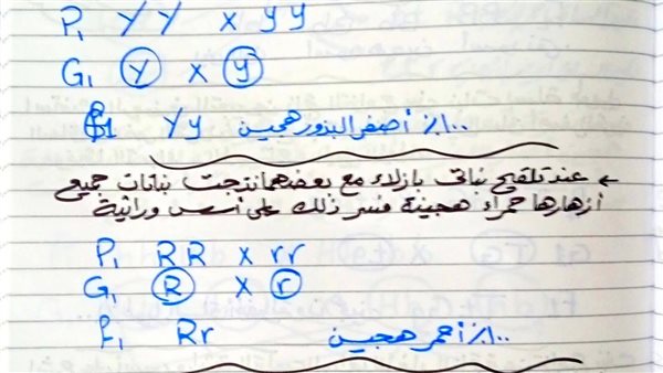 الصف الثالث الإعدادي    